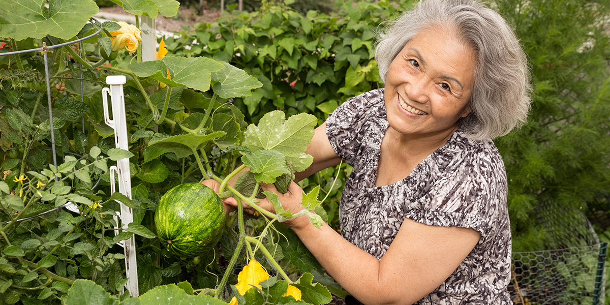 Working in the garden at Vantage Point