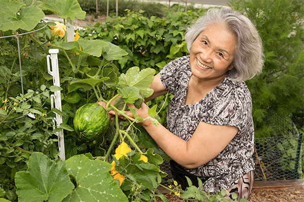 Woman working in a garden