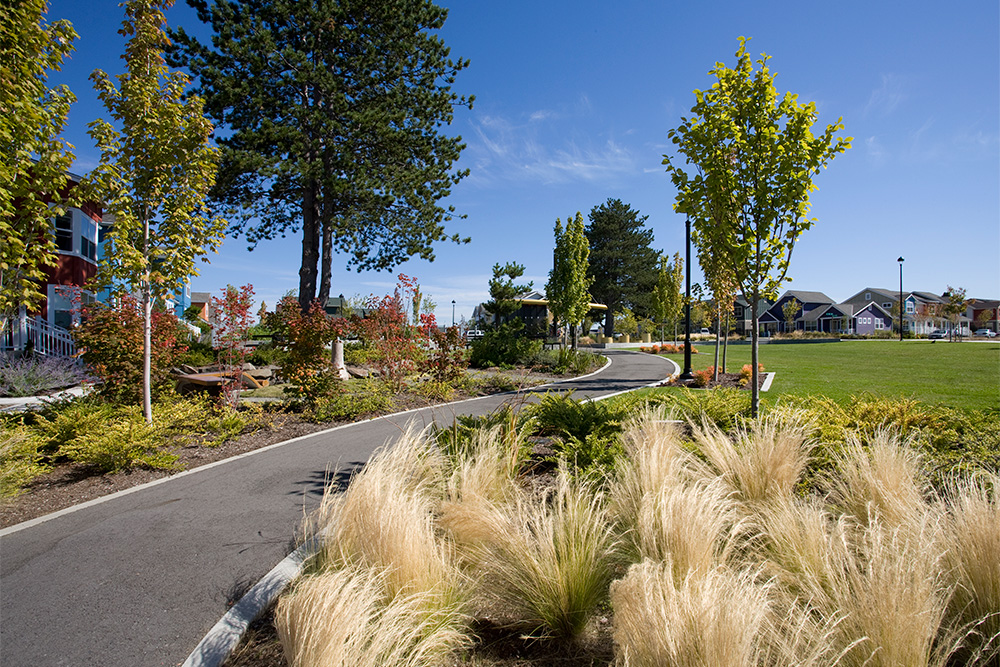 Bio-filtration swales along a path running through a park