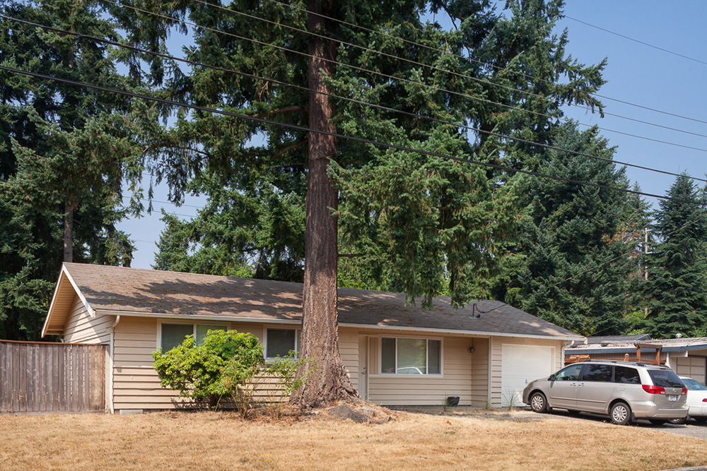 Bellevue Houses